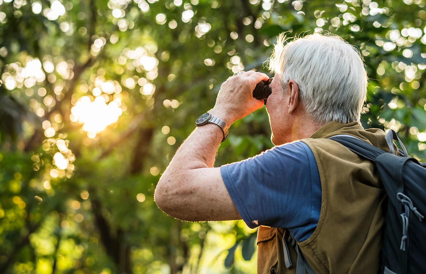 Top 5 Spots For Birdwatching | Bainbridge Island Construction